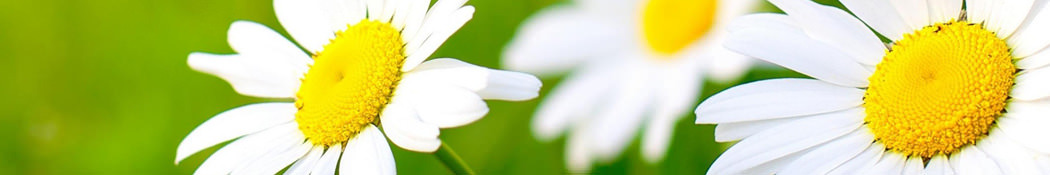 fundaţia similimum, cabinet medical, bucureşti, sector 3, sector III, homeopatie, homeopatie clasică, remediu unic, remediu homeopatic, materia medica, organon, sănătate, boală, vindecare, vitalitate, consultaţii de homeopatie, tratament homeopatic, tratament holistic